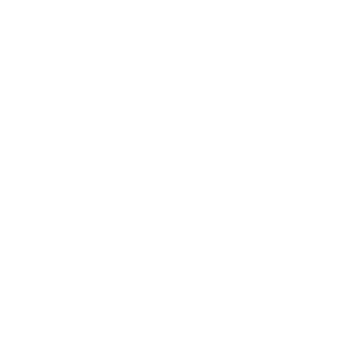Digital Main Street